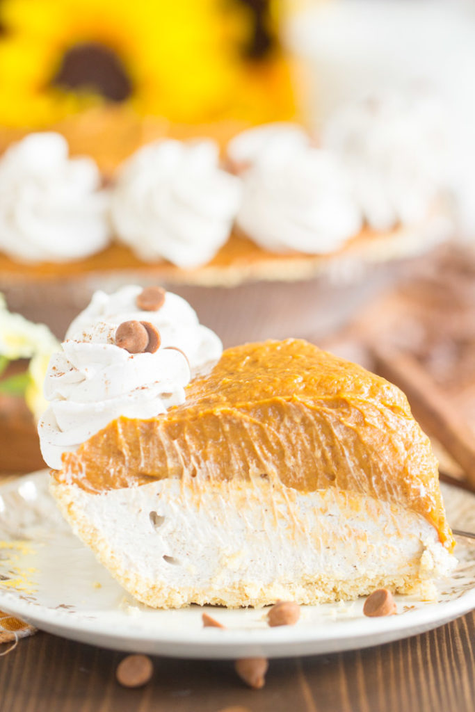 chai pumpkin cheesecake recipe