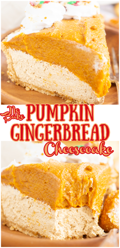 No Bake Pumpkin Gingerbread Cheesecake recipe